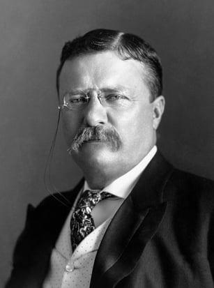 tcb Theodore Roosevelt